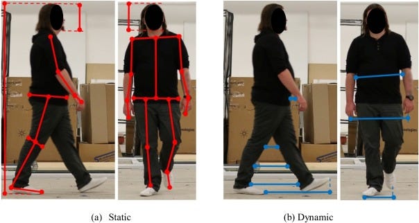 Forensic Gait Analysis: A Tool for Justice or Oppression?